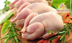 Тушки бройлерных цыплят
