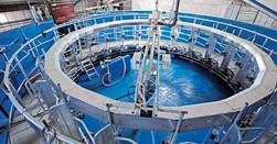 Доильный зал "Карусель"