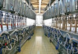 Доильный зал "Параллель"