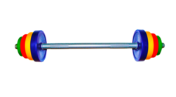 Штанга детская разборная