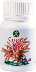 Супер Корди